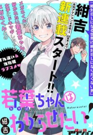 Wakaba-chan wa Wakarasetai